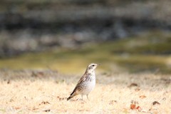 春の日差しを感じながら