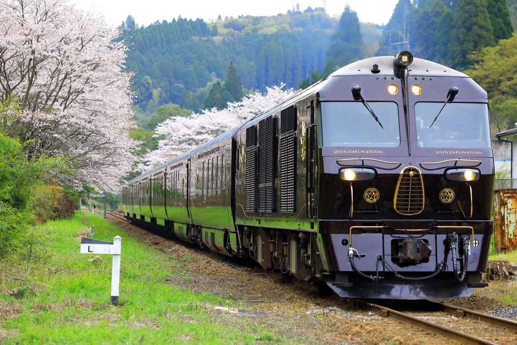 春限定の風景