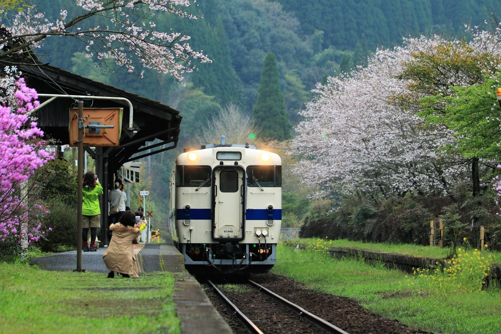 カメラ女子に囲まれて