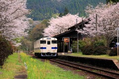 春の嘉例川駅