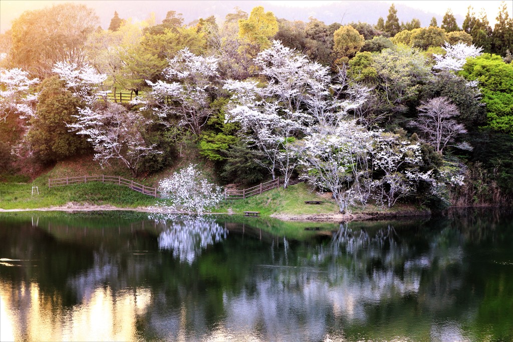 春の情景を探し求めて