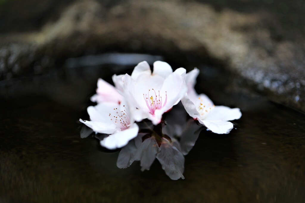 水鏡