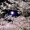 夜桜と月のシンフォニー