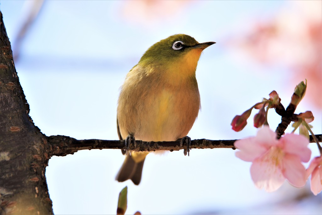 ちょっと休憩