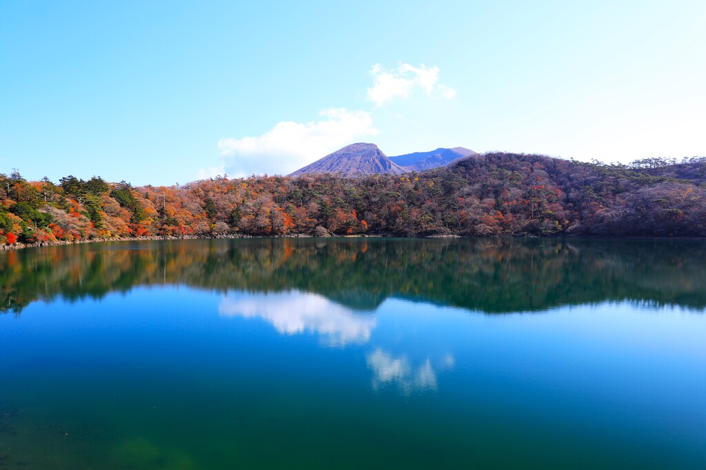 六観音御池の紅葉