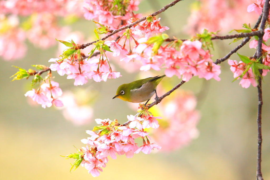 春めいた陽気の中で
