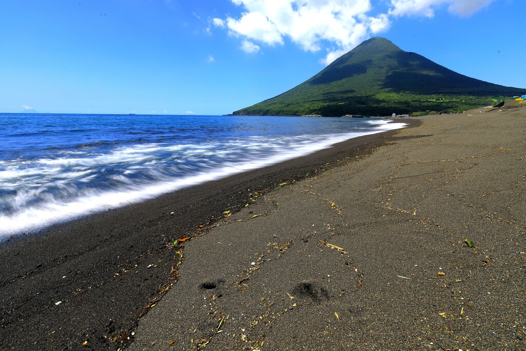 夏の海を散策