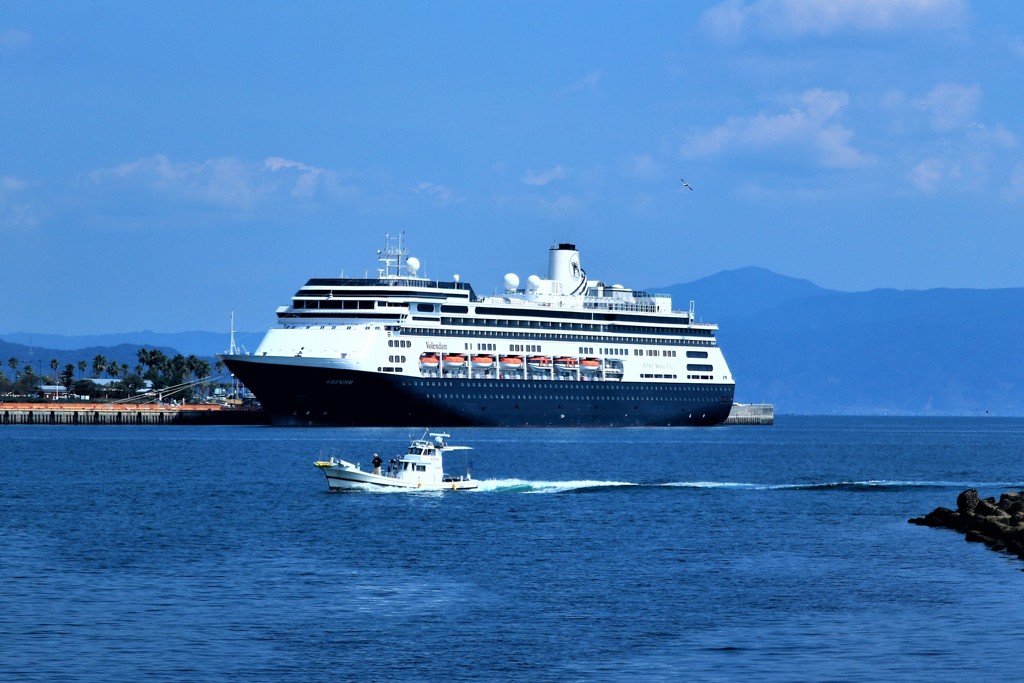 MS VOLENDAM と漁船