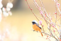 春はそこまで