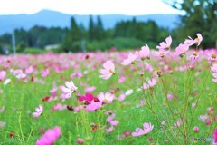 風を感じて