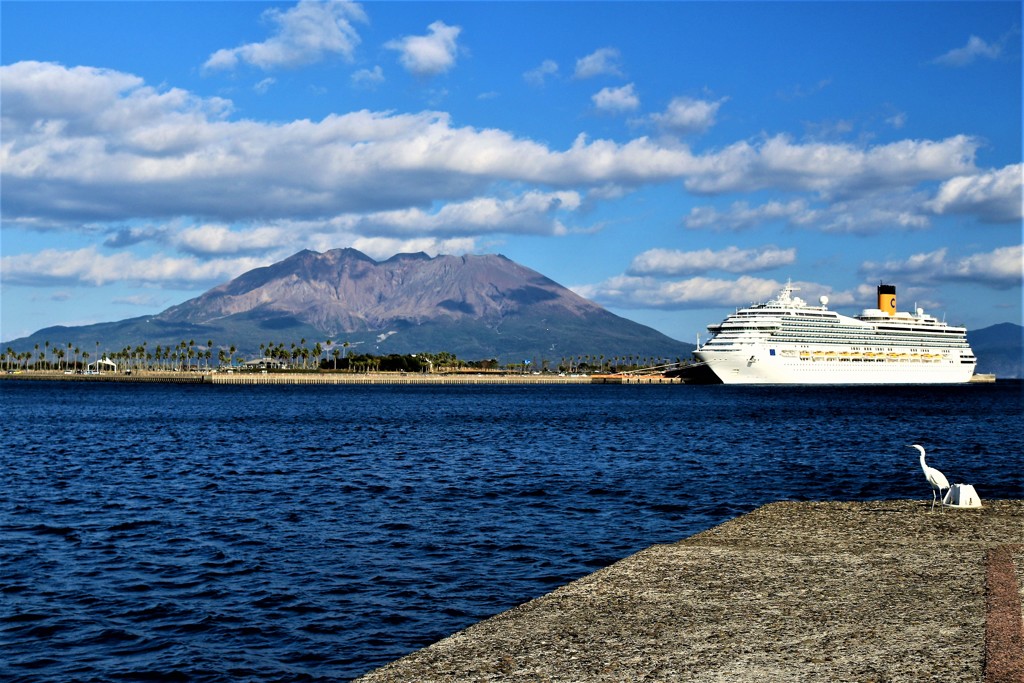 桜島と豪華客船と白鷺