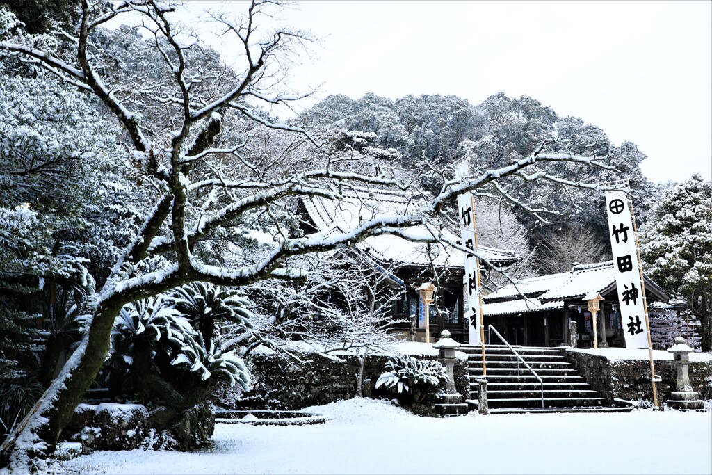 竹田神社の雪景色2