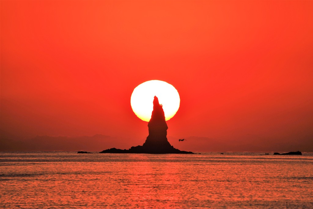 夕日を捉えて 