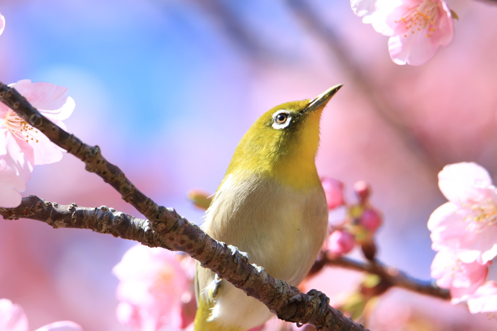 春めいた日差しの中で