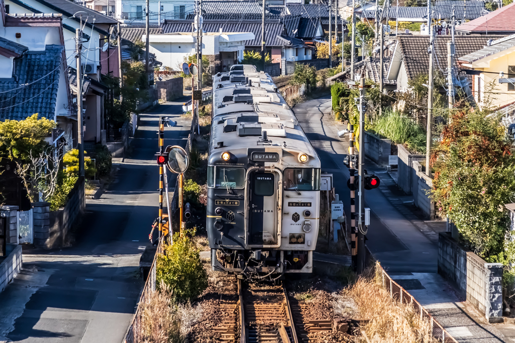 特急指宿のたまて箱