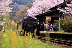 嘉例川駅の春の訪れ