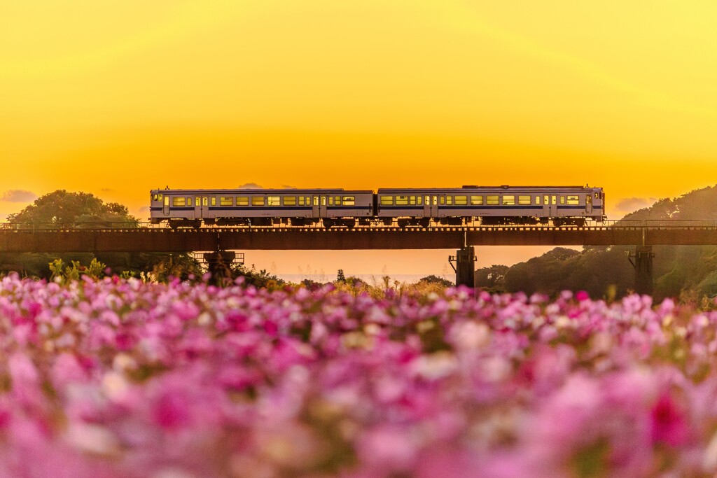 何回でも撮りたくなる鉄道風景