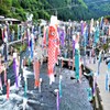 杖立温泉の鯉のぼり