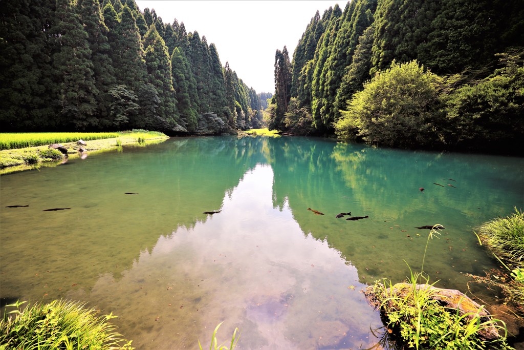 陣の池