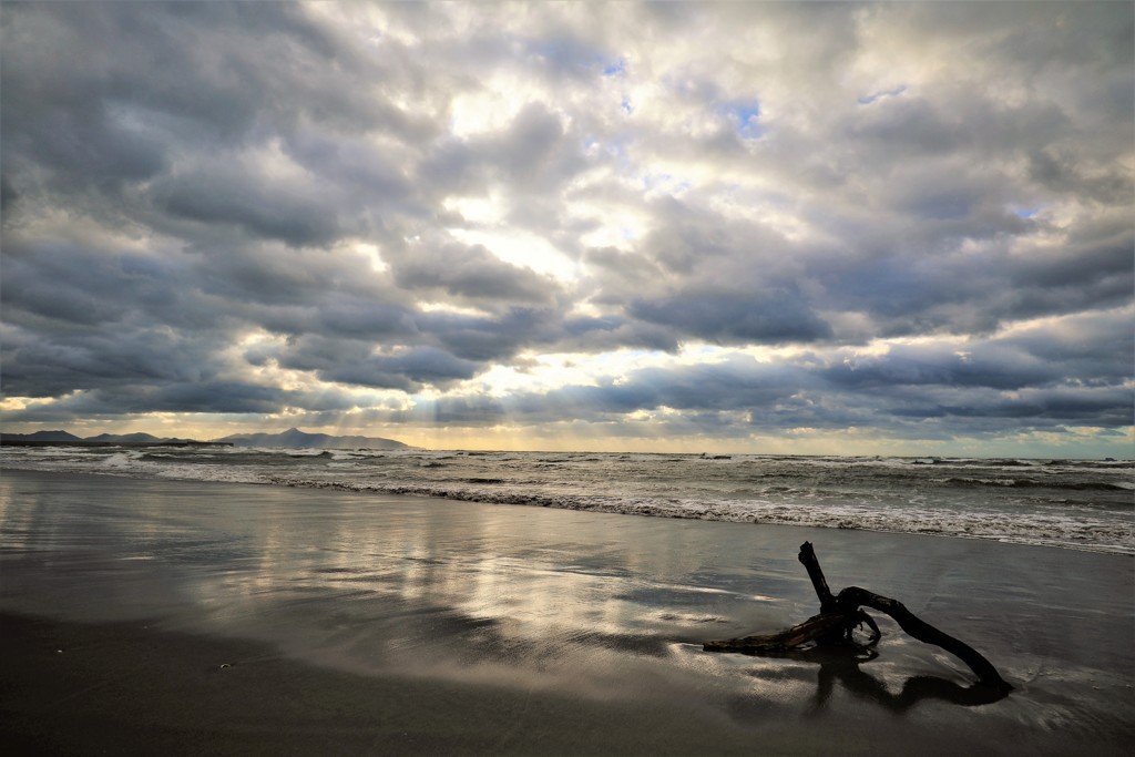 秋の海