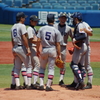 慶応義塾　野球部