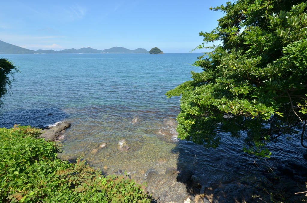 福井県小浜湾3