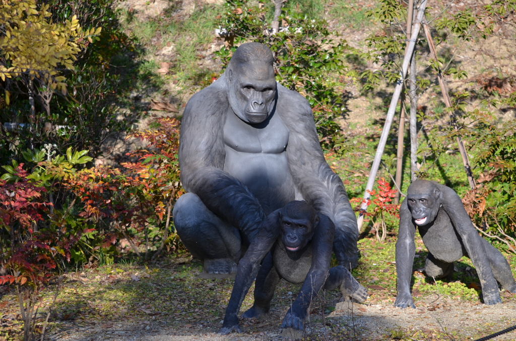 シャバーニ