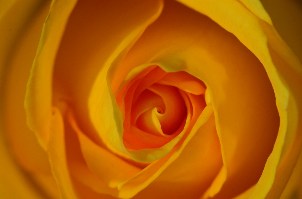 DSC_2054