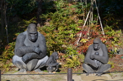 シャバーニ