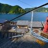 日本の風景4　尾鷲市須賀利漁港