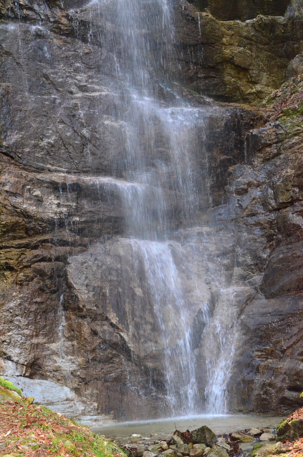 DSC_0633