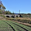 2009登録　土木遺産　めがね橋