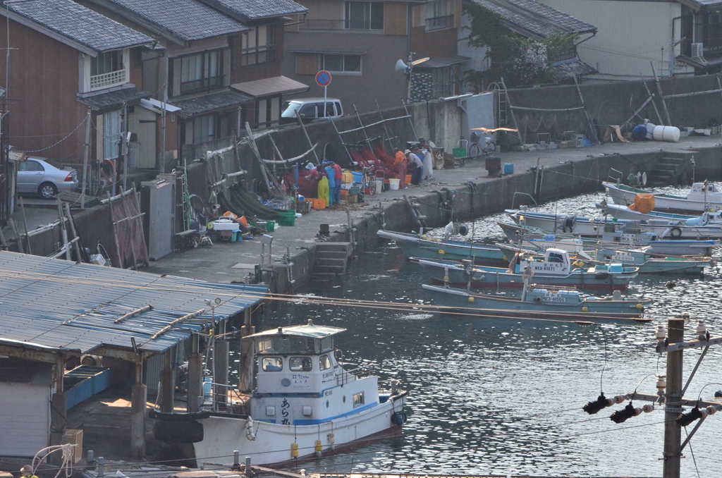 日本の風景2　尾鷲市須賀利漁港