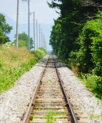一本道