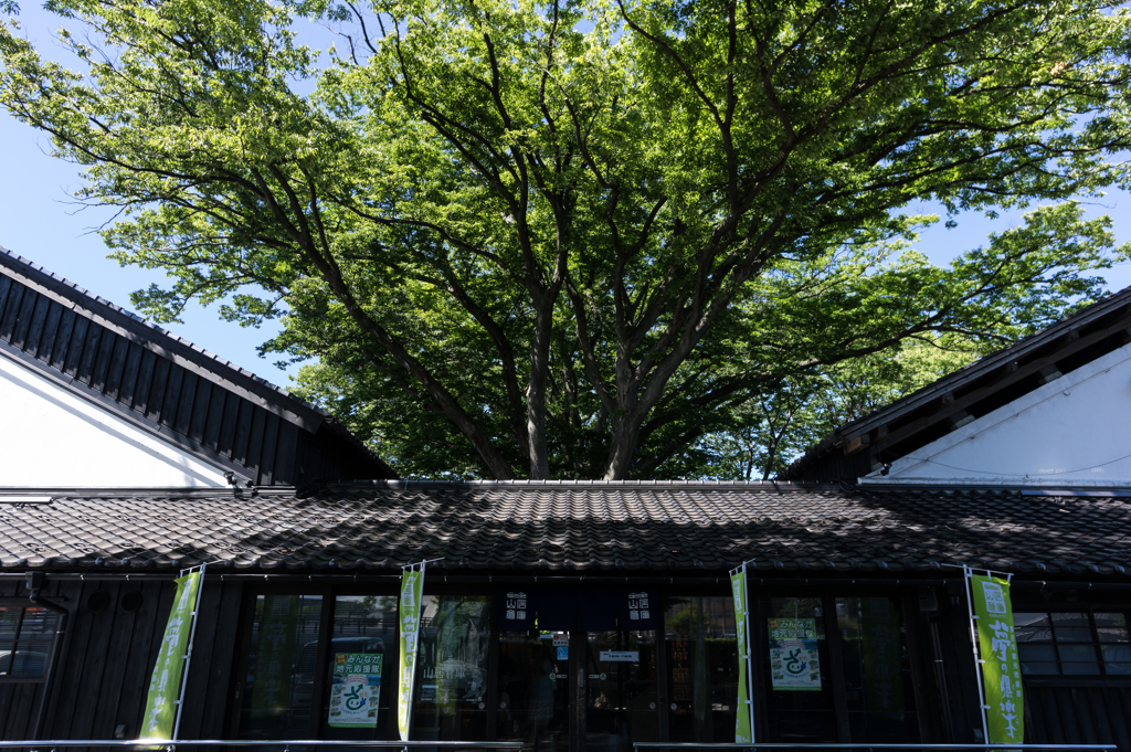 山居倉庫