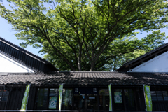 山居倉庫
