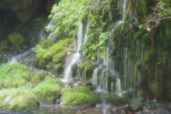 滝