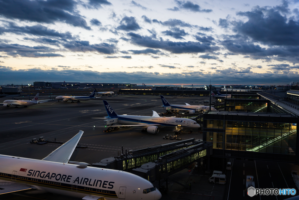 夜明け前の羽田空港