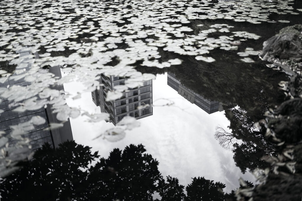 水面の交響曲…TAN.SEN