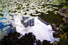 水面の交響曲…SHIKI.SAI