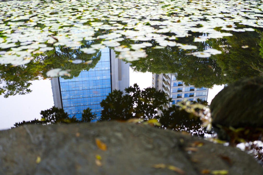 水面の交響曲…SHIKI.SAI...2