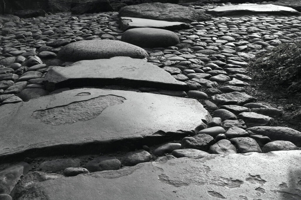 動かざる美しさ