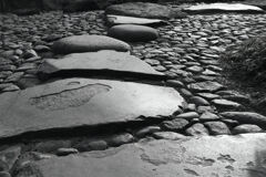 動かざる美しさ 動かざる美しさ