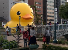ひよこあらわる❗❗