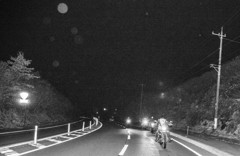 ナイトラン
