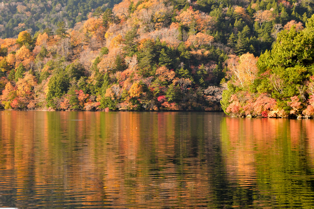 錦秋の湯ノ湖