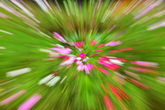 ズームアップ