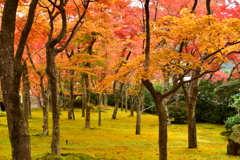 箱根美術館