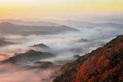 雲上の紅葉
