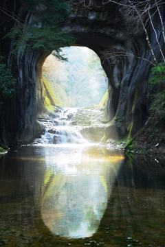 陽春の風情